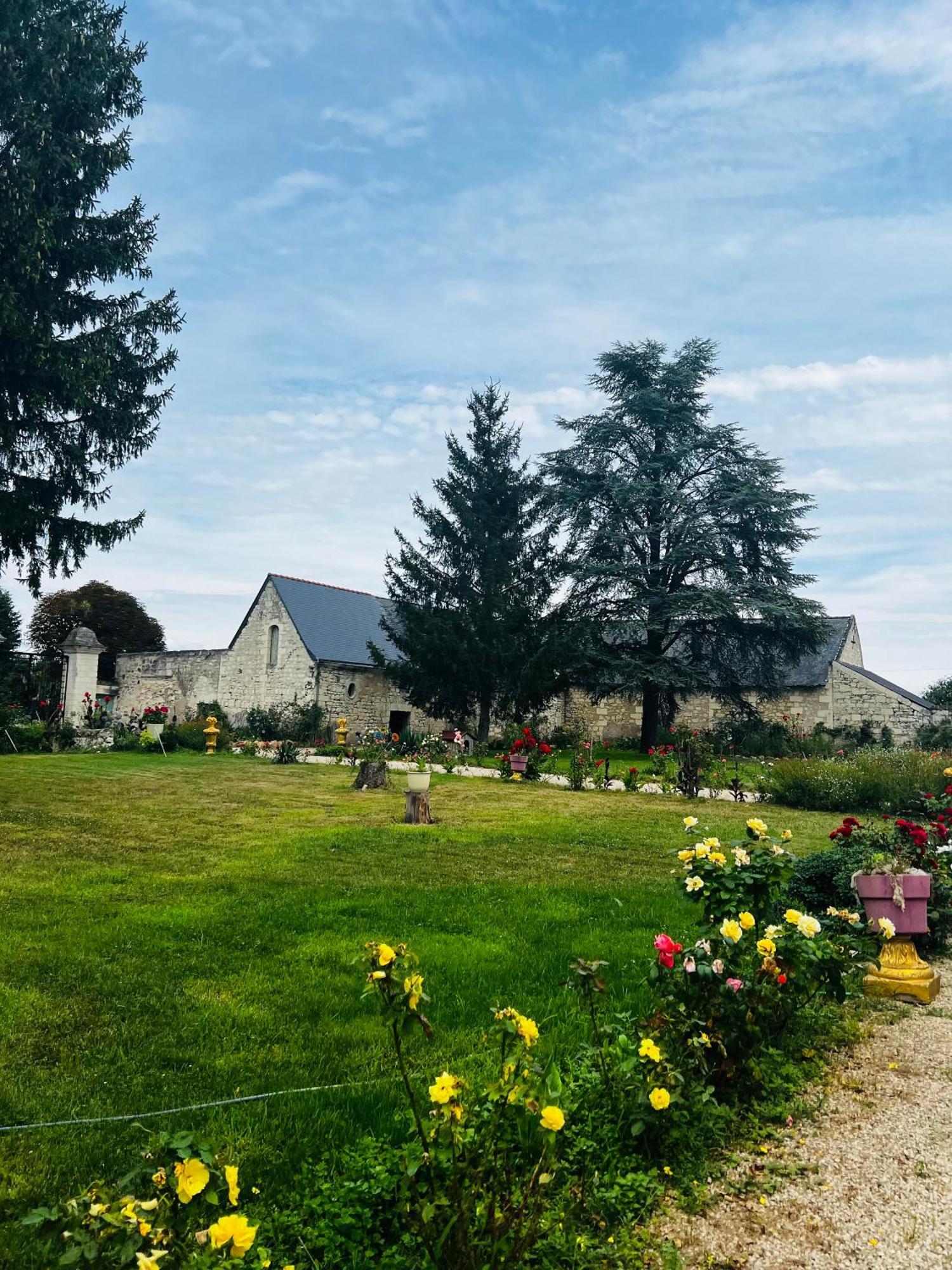 Chateau De La Thibaudiere - Chambre Du Tonneau Allonnes  Buitenkant foto